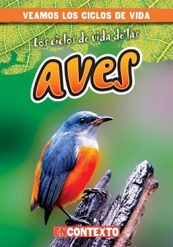 Los Ciclos de Vida de Las Aves (Bird Life Cycles)