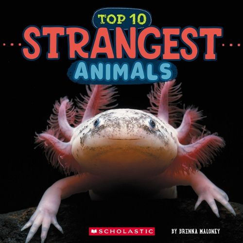 Strangest Animals (Wild World: Top 10)