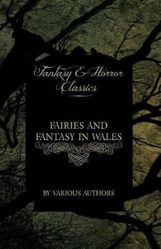 Cover image for Fairies and Fantasy in Wales - Short Stories from the Mythical Past to the Modern Day (Fantasy and Horror Classics)