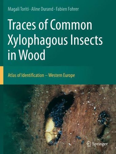 Cover image for Traces of Common Xylophagous Insects in Wood: Atlas of Identification - Western Europe