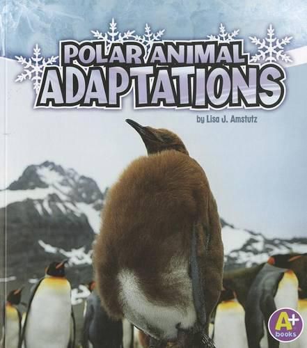 Polar Animal Adaptations (Amazing Animal Adaptations)