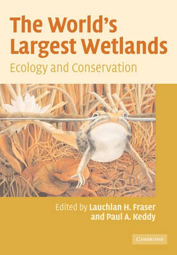 The World's Largest Wetlands: Ecology and Conservation