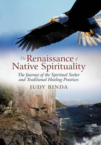 Cover image for The Renaissance of Native Spirituality: The Journey of the Spiritual Seeker and Traditional Healing Practices