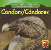 Cover image for Condors / Condor