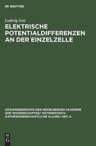 Cover image for Elektrische Potentialdifferenzen an Der Einzelzelle