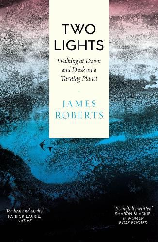 Cover image for Two Lights