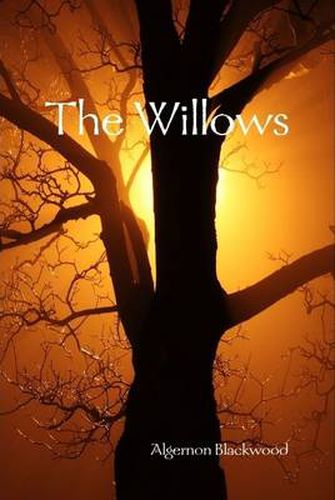 Cover image for The Willows