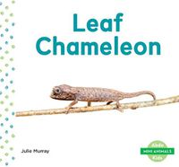 Cover image for Leaf Chameleon