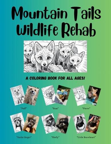 Cover image for Mountain Tails Wildlife Rehab