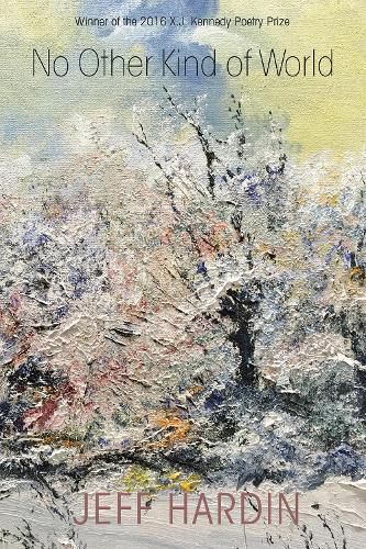 Cover image for No Other Kind of World