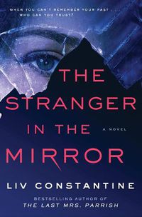 Cover image for The Stranger in the Mirror