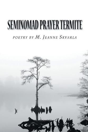 Cover image for Seminomad Prayer Termite