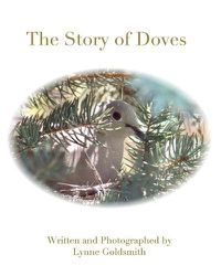 Cover image for The Story of Doves