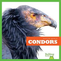 Cover image for Condors