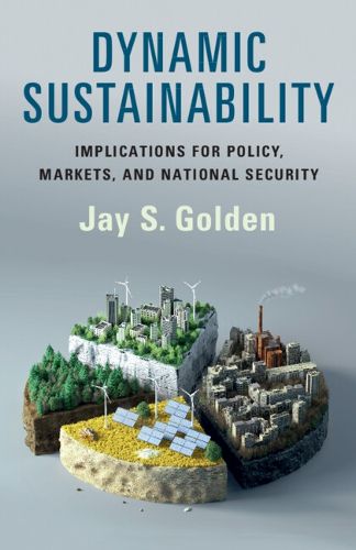 Cover image for Dynamic Sustainability