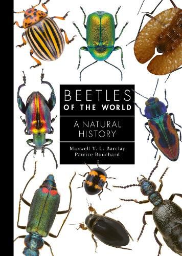 Cover image for Beetles of the World