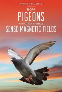 Cover image for How Pigeons and Other Animals Sense Magnetic Fields