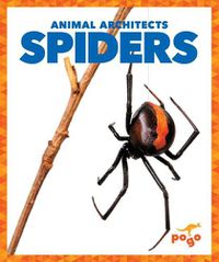 Cover image for Spiders