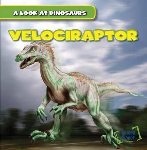 Cover image for Velociraptor