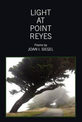 Cover image for Light at Point Reyes