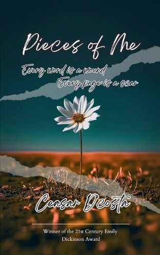 Cover image for Pieces of Me (Edition1st)