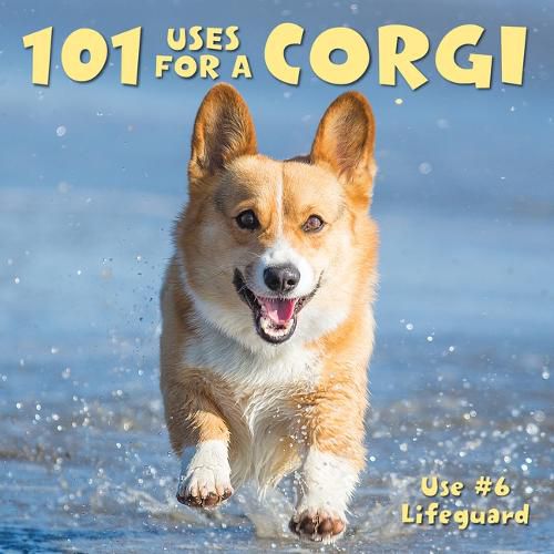 Cover image for 101 Uses for a Corgi