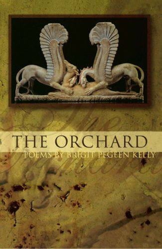 Cover image for The Orchard