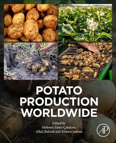 Cover image for Potato Production Worldwide