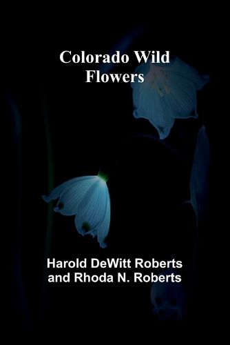 Cover image for America, Volume 1 (Edition1)