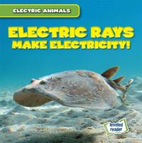 Cover image for Electric Rays Make Electricity!