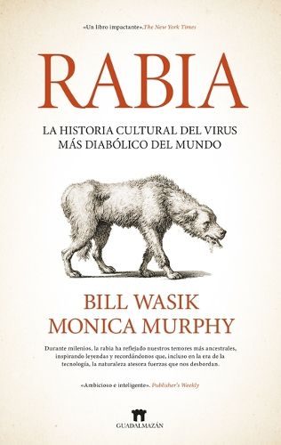 Cover image for Rabia