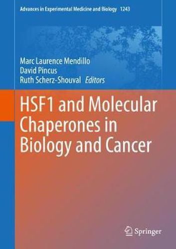 Cover image for HSF1 and Molecular Chaperones in Biology and Cancer