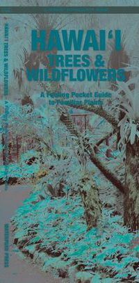 Cover image for Hawai'i Trees & Wildflowers