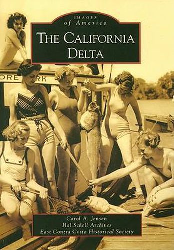 Cover image for The California Delta