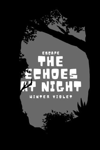 Cover image for The Echoes at Night