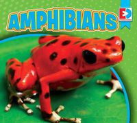 Cover image for Amphibians