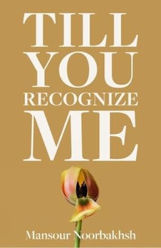 Cover image for Till You Recognize Me