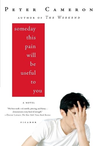 Cover image for Someday This Pain Will Be Useful to You