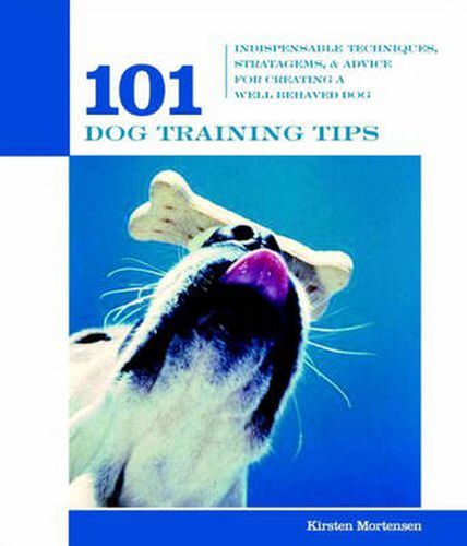 101 Dog Training Tips