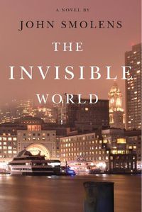 Cover image for The Invisible World