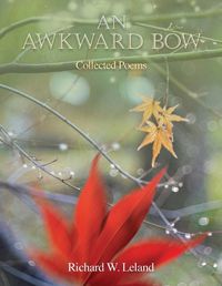 Cover image for An Awkward Bow