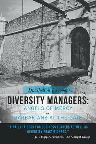 Cover image for Diversity Managers