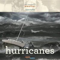 Cover image for Hurricanes