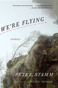Cover image for We're Flying: Stories