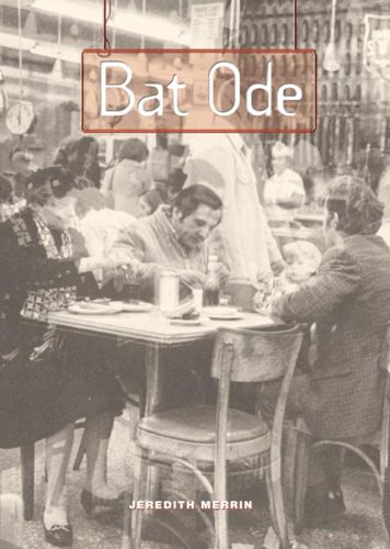 Cover image for Bat Ode