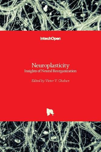 Cover image for Neuroplasticity: Insights of Neural Reorganization