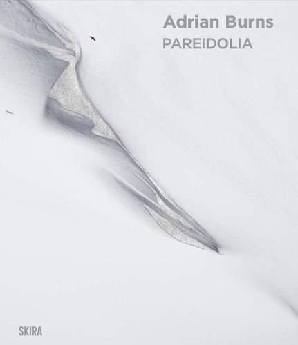 Cover image for Pareidolia: Adrian Burns (Bilingual edition)