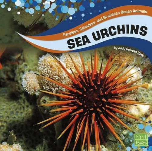 Sea Urchins: Faceless, Spineless, and Brainless Ocean Animals