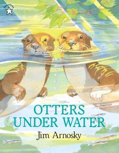 Cover image for Otters under Water