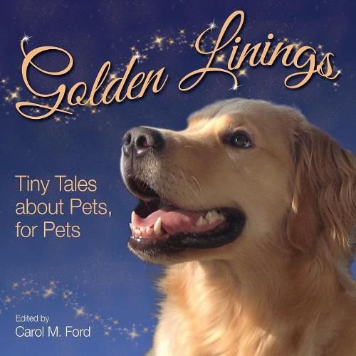 Cover image for Golden Linings